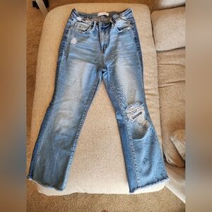 VERVET BLUE JEANS | size 27, Distressed